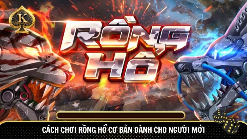 Cách chơi rồng hổ cơ bản dành cho người mới