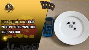 dụng cụ xóc đĩa